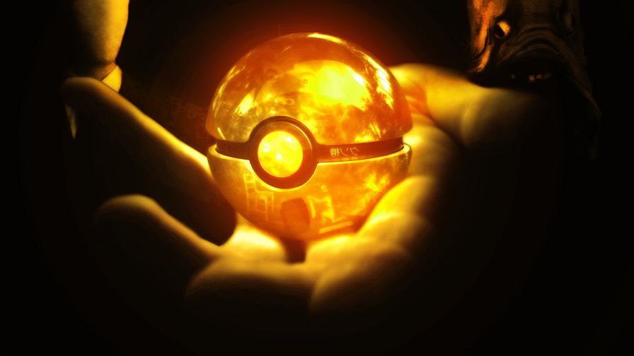 Pokeball in hand image